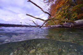 biologischen Vielfalt in Binnengewässern