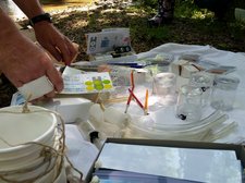 Bildergalerie unserer Aktivitäten